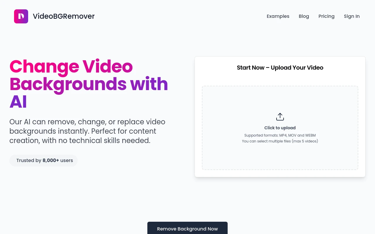 VideoBGRemover