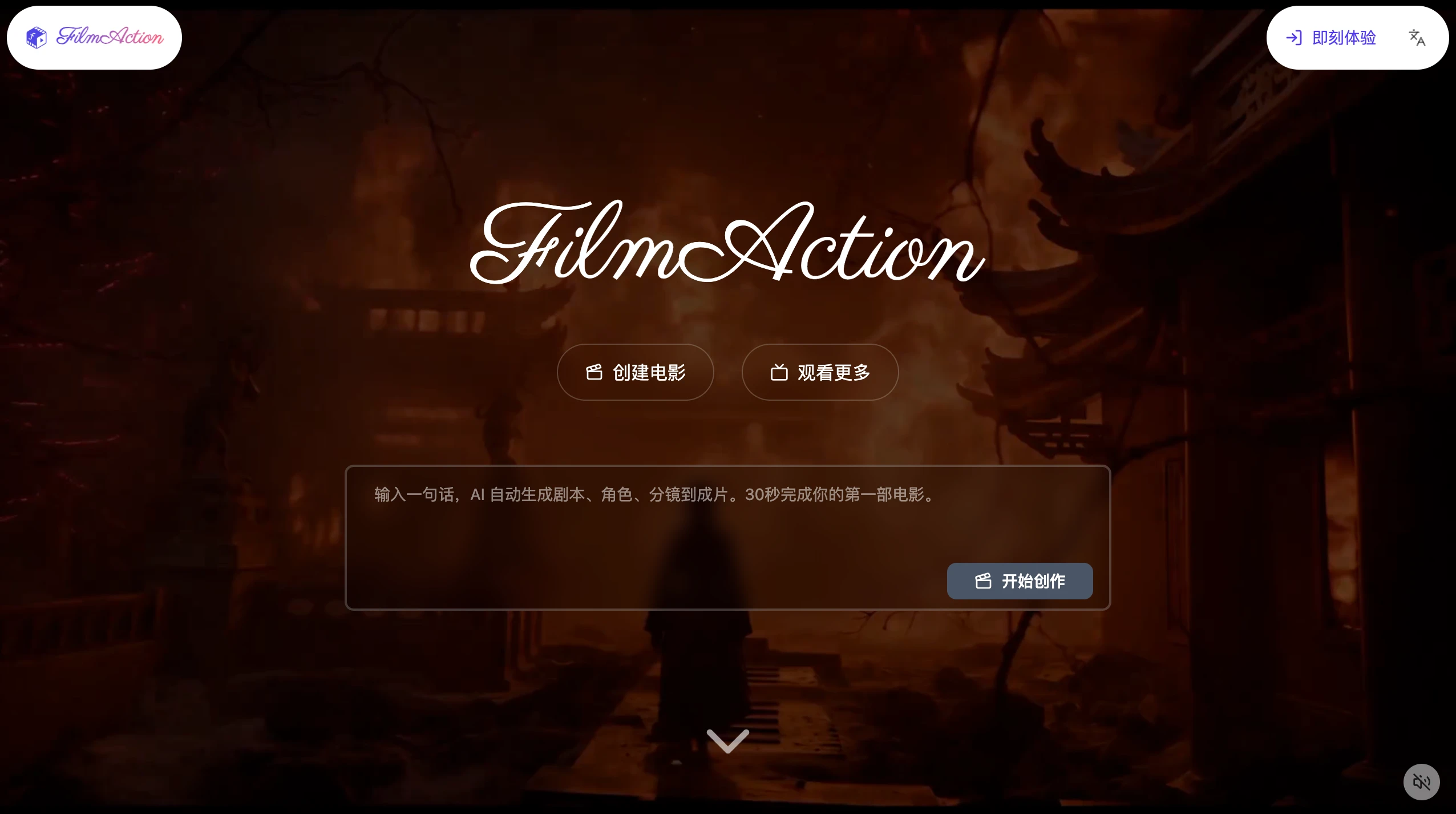FilmAction