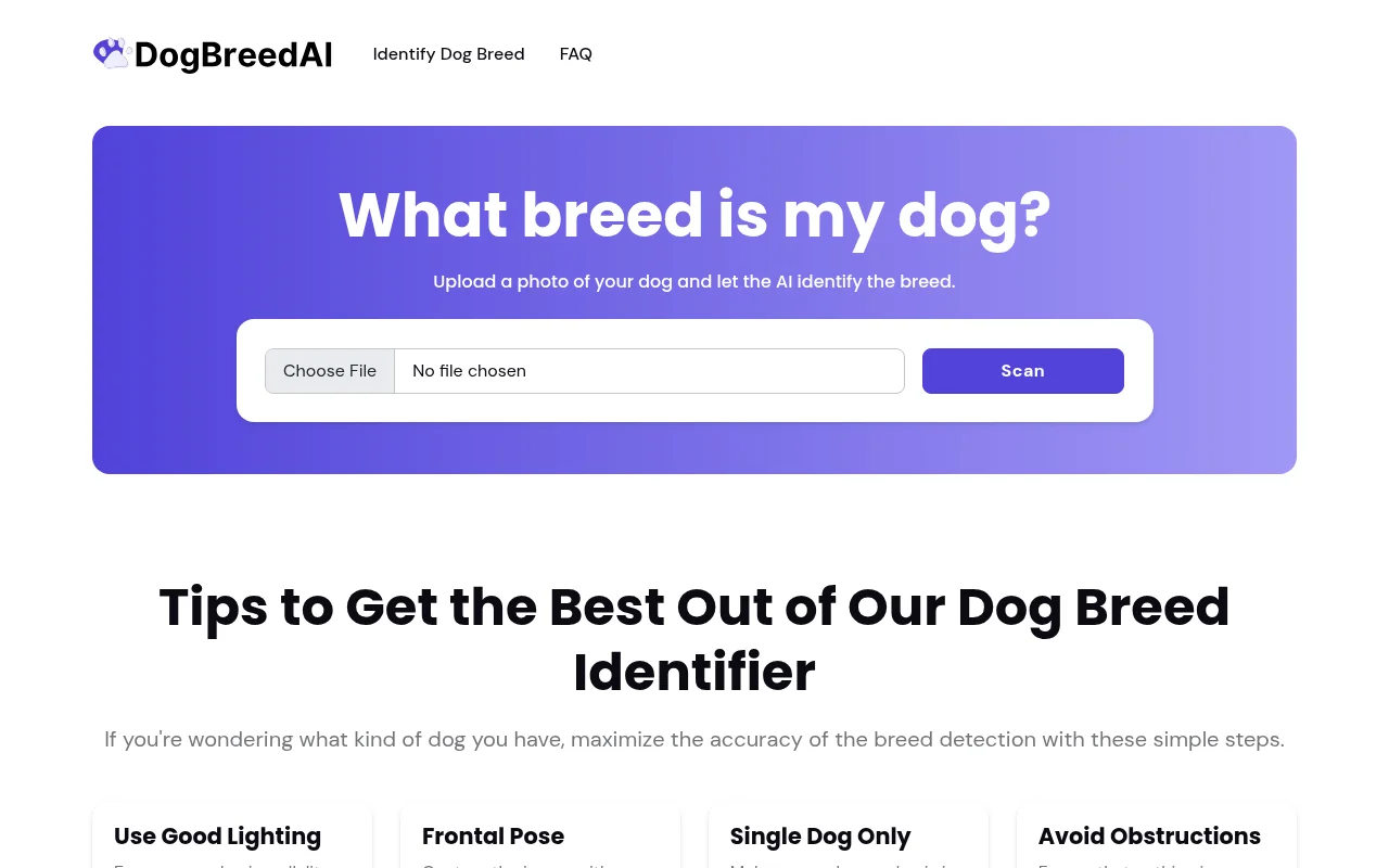 我的狗是什么品种