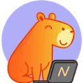 Networkio
