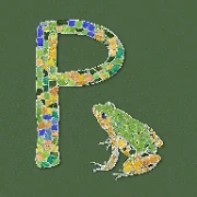 Pump Fun 机器人