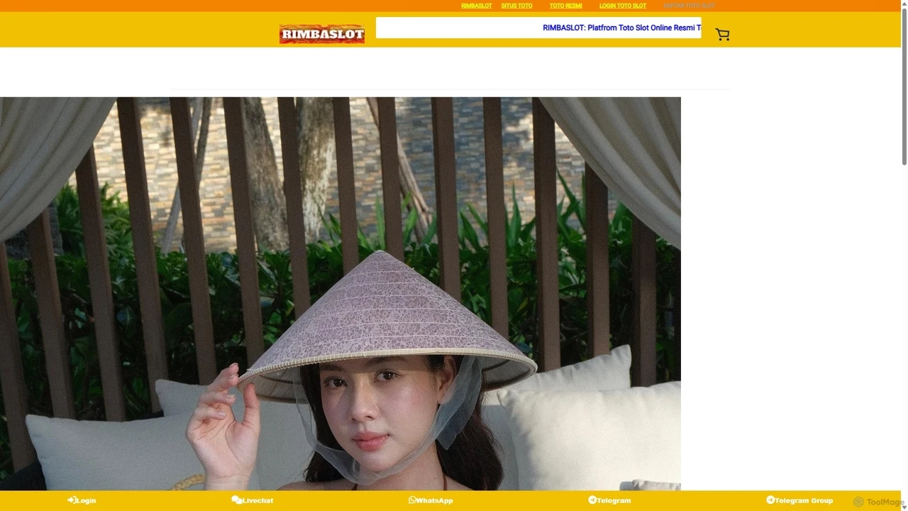 芝士蛋糕向导