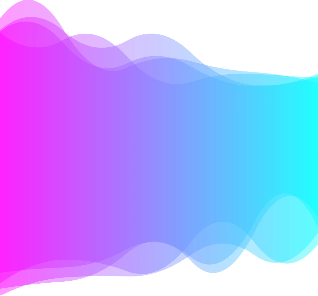 MeetSummary