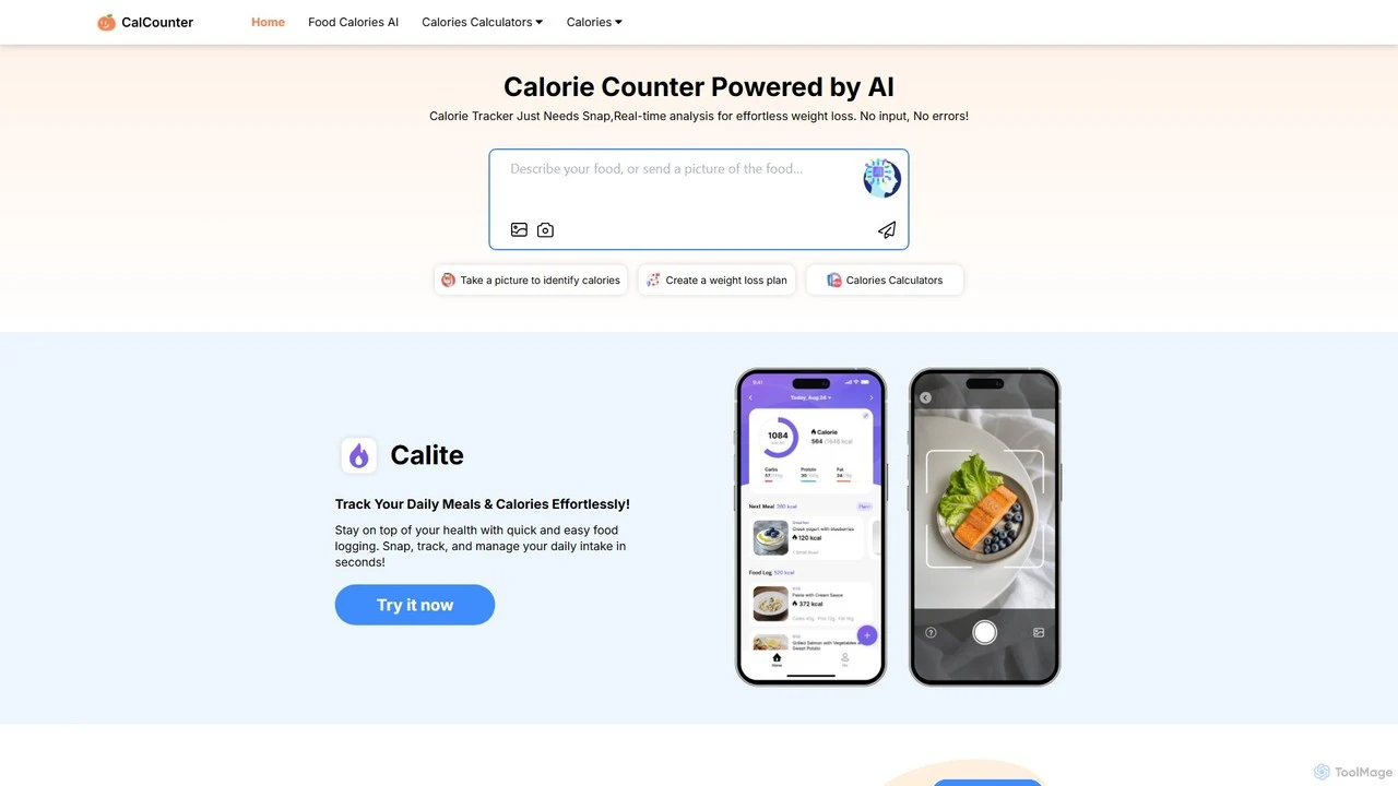 CalCounter