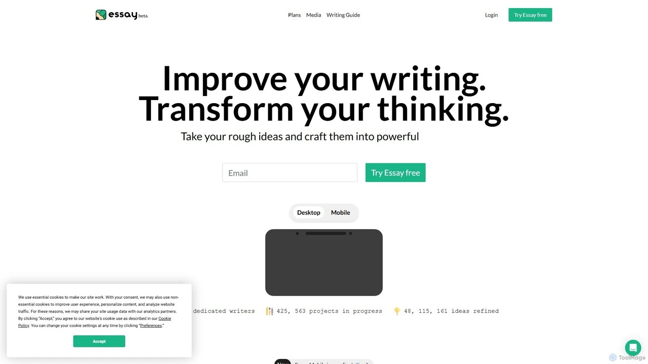 Essay