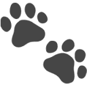 Pet Lens AI